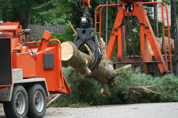 Lawn Grading and Leveling in Turners Falls, MA